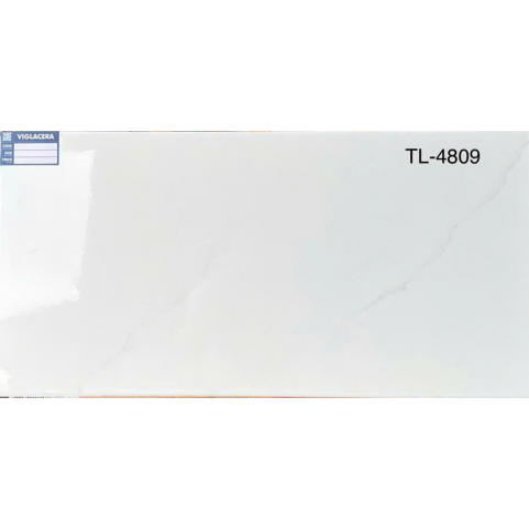 Gạch Viglacera 40x80 TL4809 Gạch Viglacera 40x80 TL4809